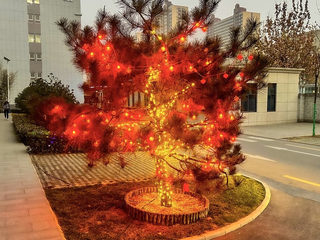 Decorate with lanterns and festoons to welcome the new year, with a strong flavor of the year